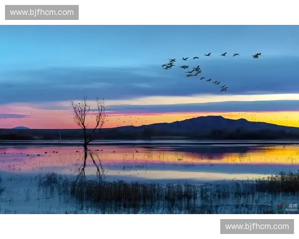 捕捉瞬间力量与速度的艺术探索运动摄影技巧与创意呈现